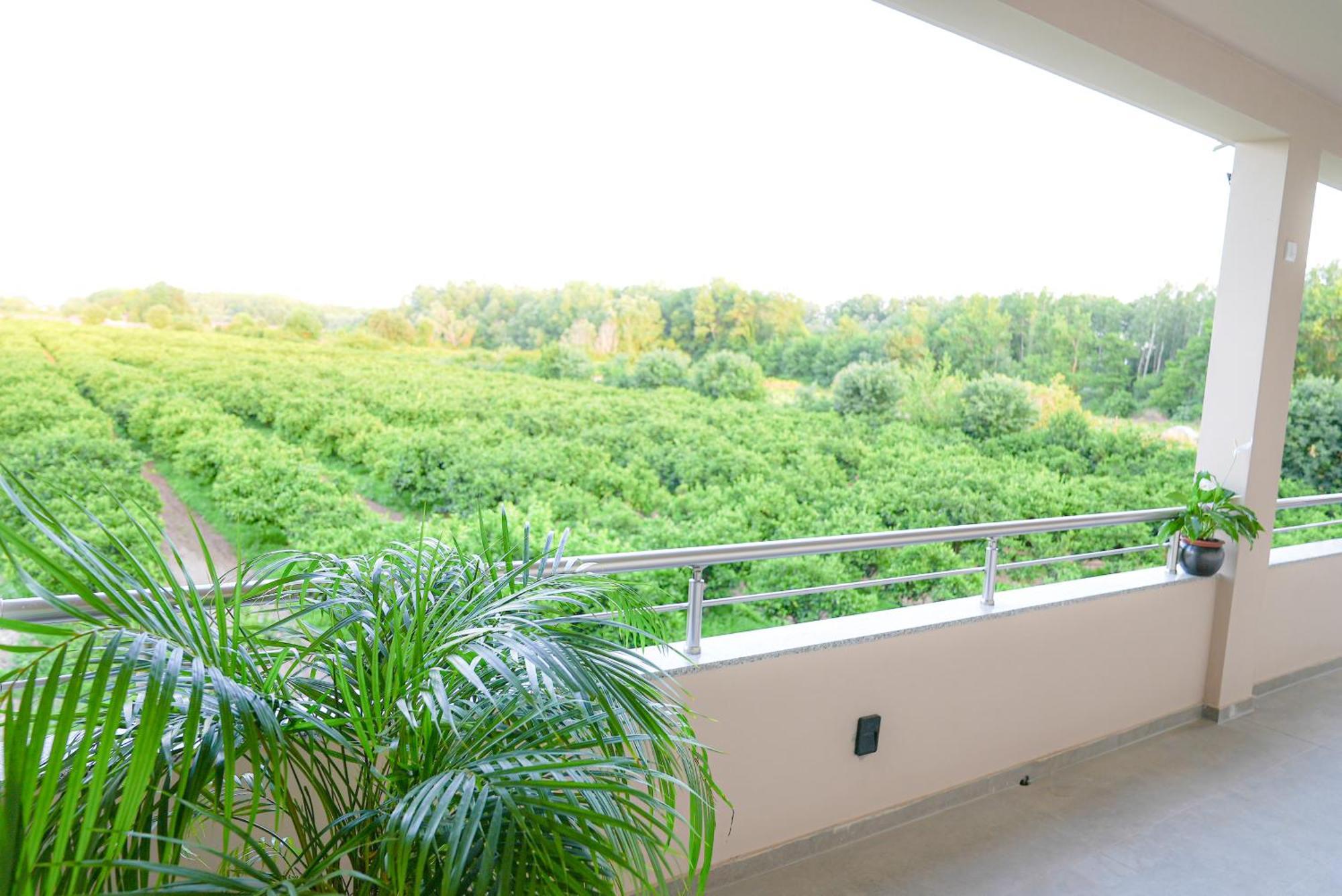Mar Nero Apartments Bregvija Dış mekan fotoğraf