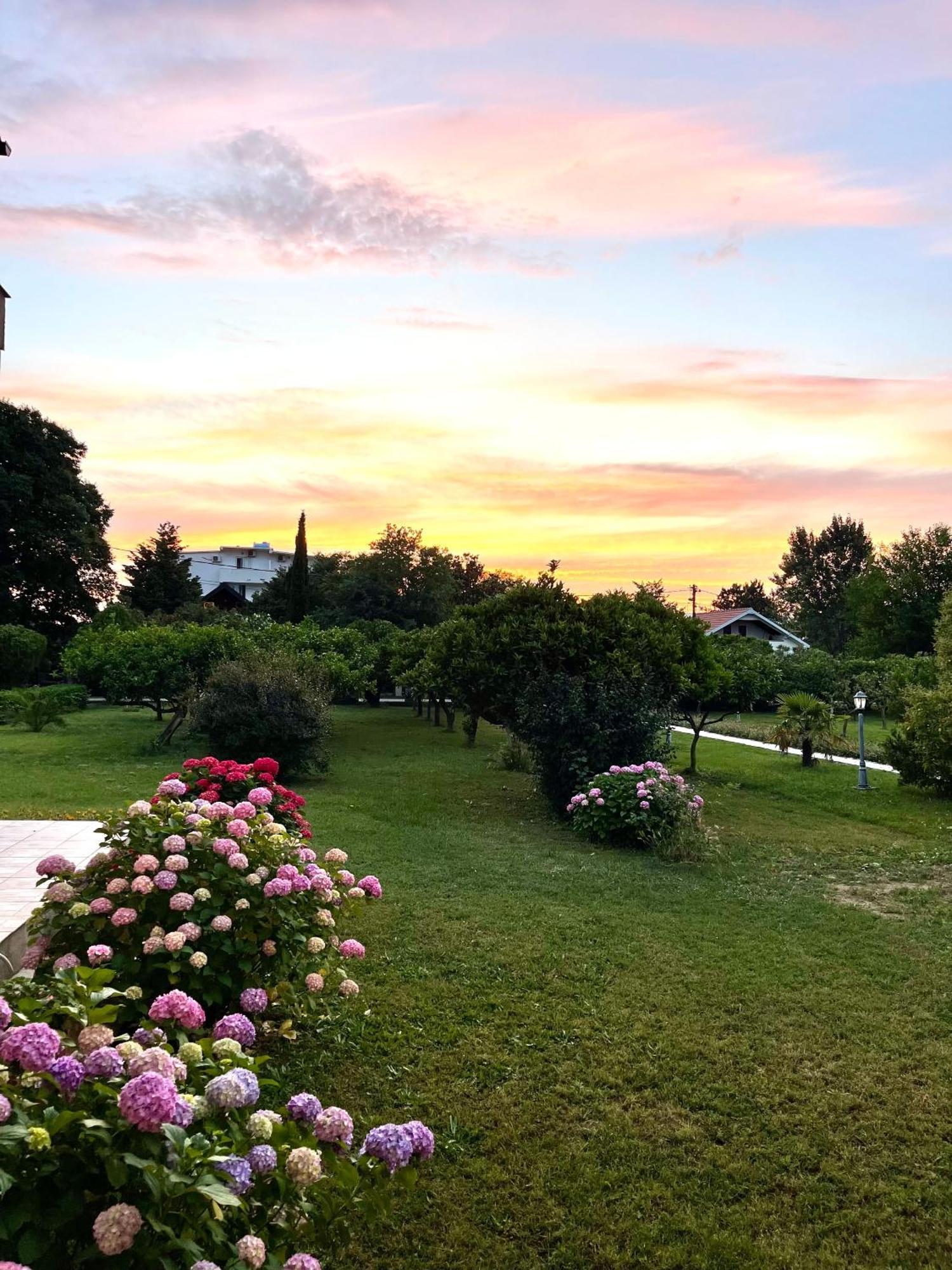 Mar Nero Apartments Bregvija Dış mekan fotoğraf